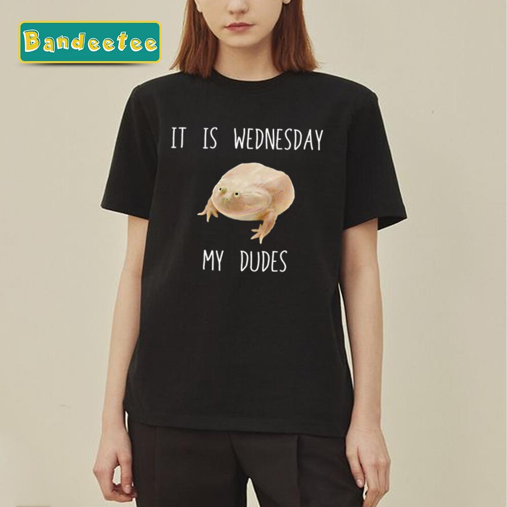 It Is Wednesday My Dudes Unisex T-Shirt