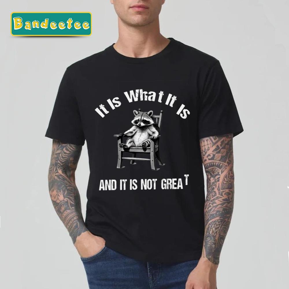 Of It Is What It Is Raccoon Meme Unisex T-Shirt