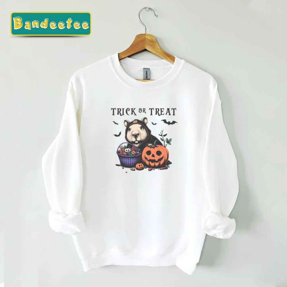 Cute Capybara Trick Or Treat Unisex Sweatshirt